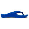 nahlad SHARK AZZURRO Obuv Pro Evolution