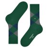 náhľad 21090 7502 eucalyptus 40-46 Ponožky Falke Burlington King