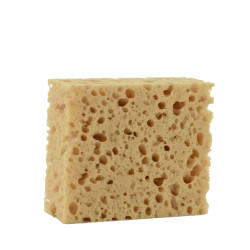 HOUBA NANÁŠECÍ PĚNOVÁ
